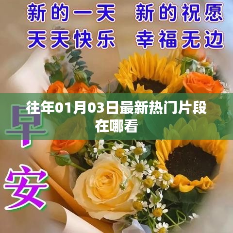 一石三鸟 第3页