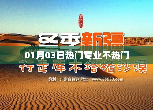 热门专业趋势解析，01月03日专业冷暖透视