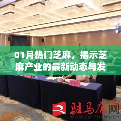 芝麻产业最新动态与发展趋势揭秘，一月热门聚焦