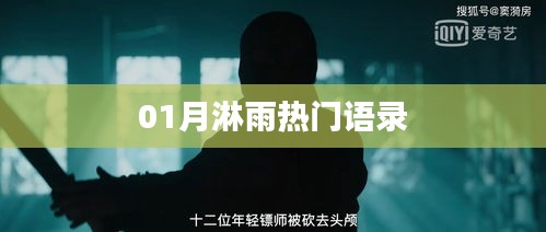 一月淋雨热门语录盘点