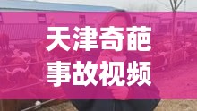 棒打出头鸟 第4页
