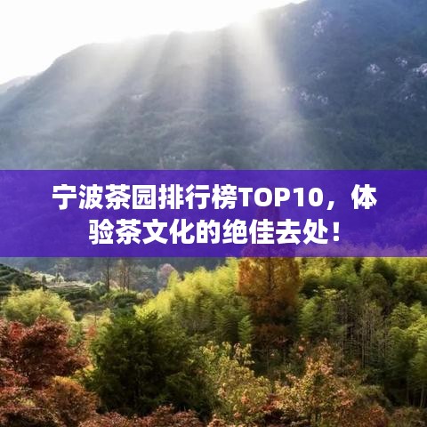 宁波茶园排行榜TOP10，体验茶文化的绝佳去处！