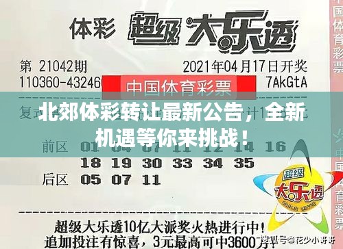 北郊体彩转让最新公告，全新机遇等你来挑战！