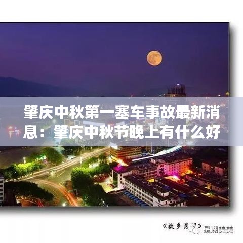 临危不惧 第3页