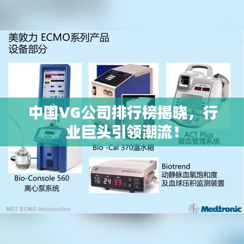 中国VG公司排行榜揭晓，行业巨头引领潮流！