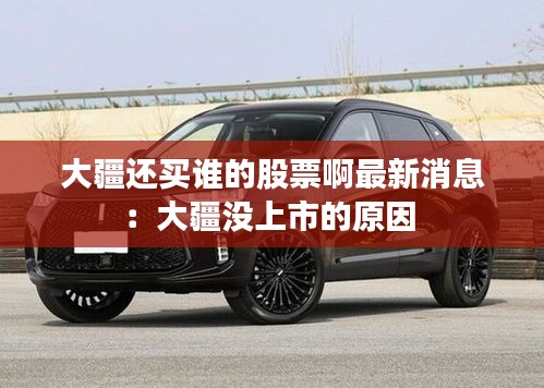 大疆还买谁的股票啊最新消息：大疆没上市的原因 