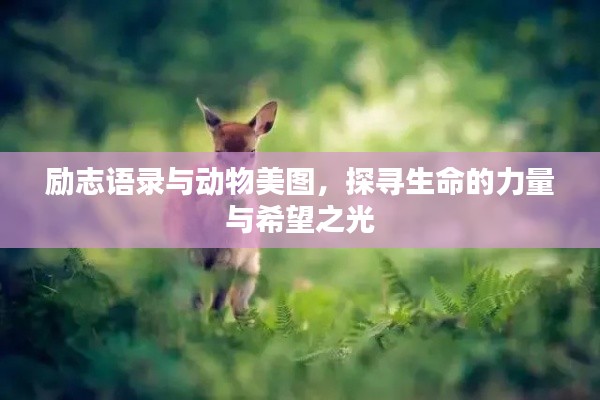 改弦更张 第3页