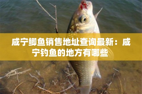 灰飞烟灭 第5页