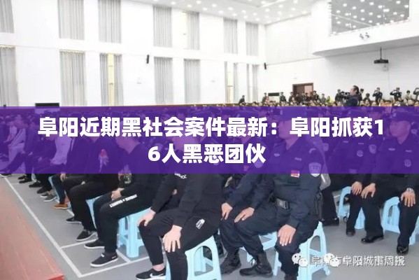 初告白 第3页
