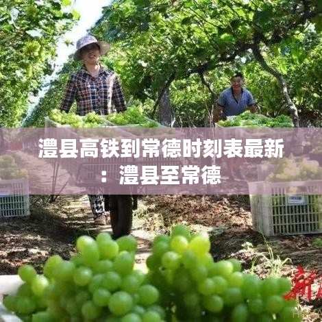 澧县高铁到常德时刻表最新：澧县至常德 