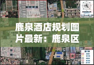 情不自禁 第3页