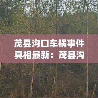 茂县沟口车祸事件真相最新：茂县沟口镇天气预报 