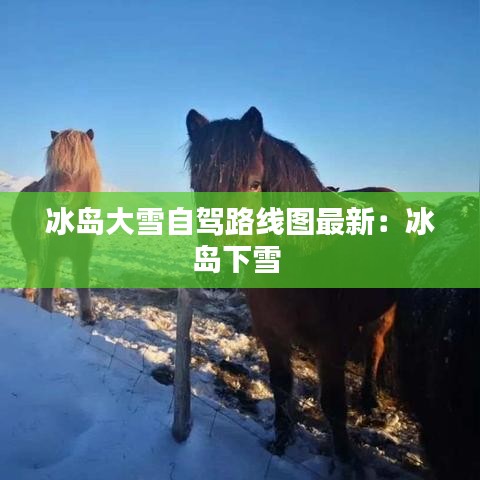 冰岛大雪自驾路线图最新：冰岛下雪 