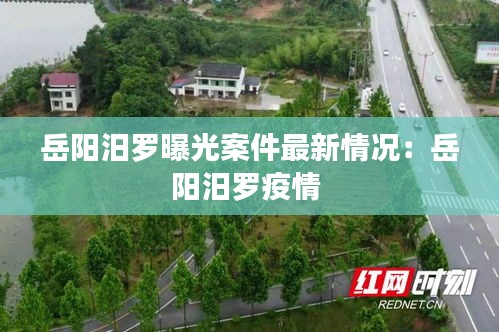 洵属可贵 第3页