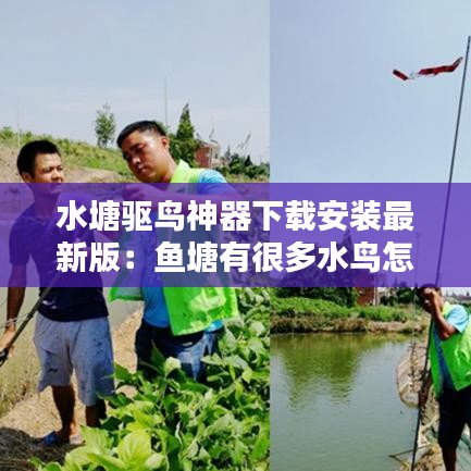 水塘驱鸟神器下载安装最新版：鱼塘有很多水鸟怎么赶走 