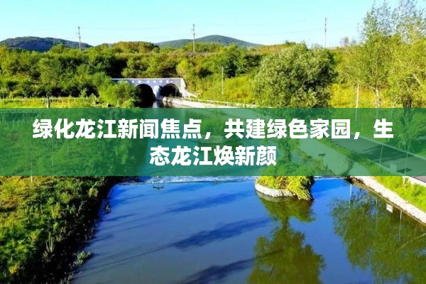 绿化龙江新闻焦点，共建绿色家园，生态龙江焕新颜