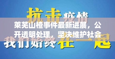 莱芜山楂事件最新进展，公开透明处理，坚决维护社会公正