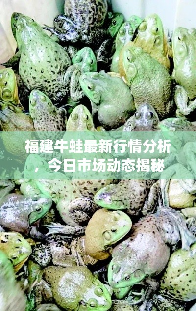 母以子贵 第3页