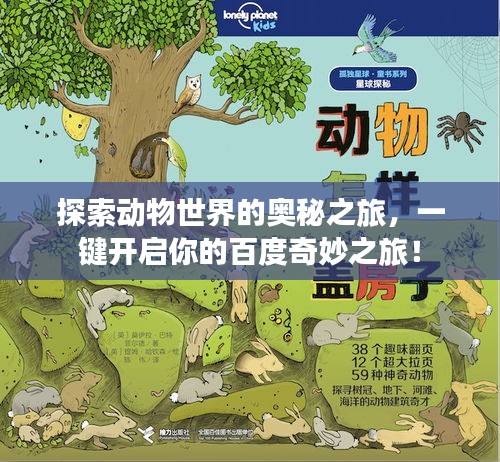 探索动物世界的奥秘之旅，一键开启你的百度奇妙之旅！