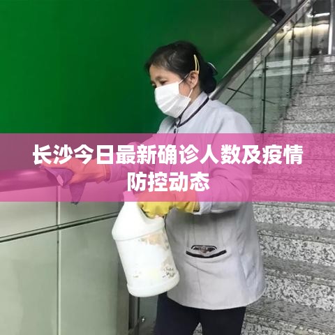 一张一弛 第3页