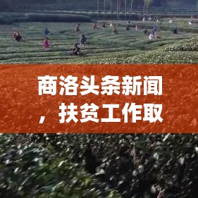 百鸟朝凤 第3页