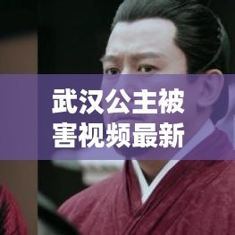 武汉公主被害视频最新消息：武汉公子 