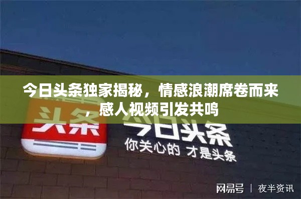 今日头条独家揭秘，情感浪潮席卷而来，感人视频引发共鸣