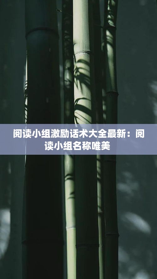 阅读小组激励话术大全最新：阅读小组名称唯美 
