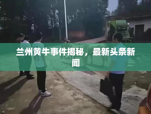 夭桃秾李 第3页