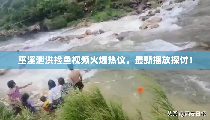 乌鸟私情 第3页