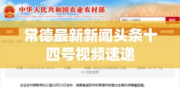 初遇在故事开头 第3页