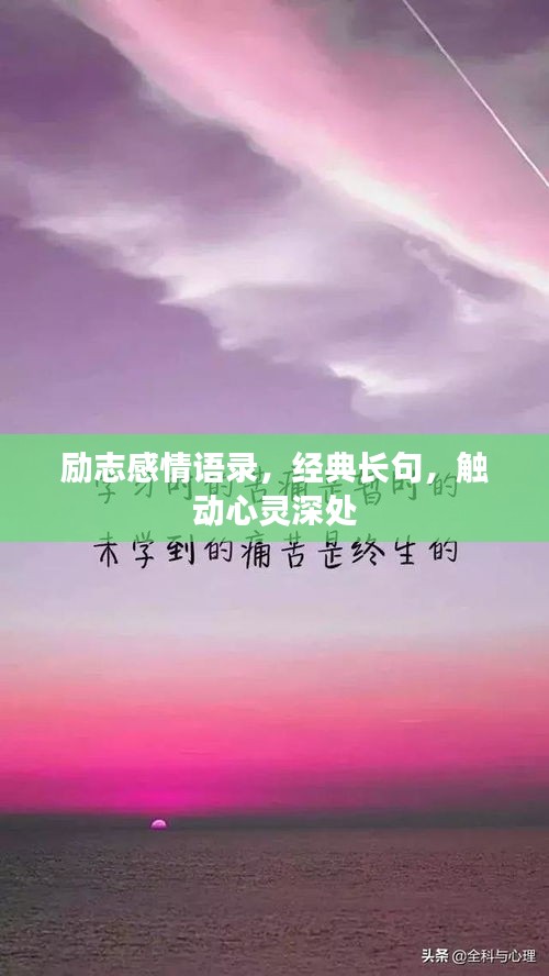 励志感情语录，经典长句，触动心灵深处