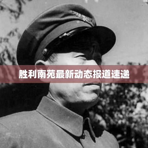 胜利南苑最新动态报道速递