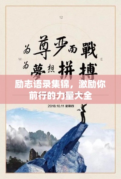 百鸟归巢 第3页