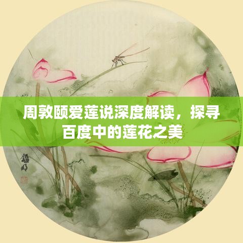 周敦颐爱莲说深度解读，探寻百度中的莲花之美