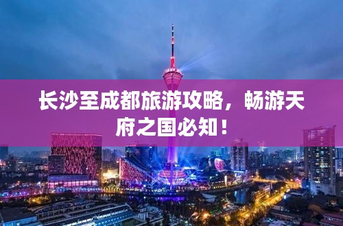 半截鸟木 第3页