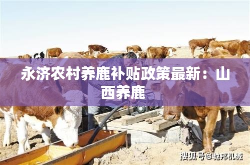 娇小玲珑 第3页