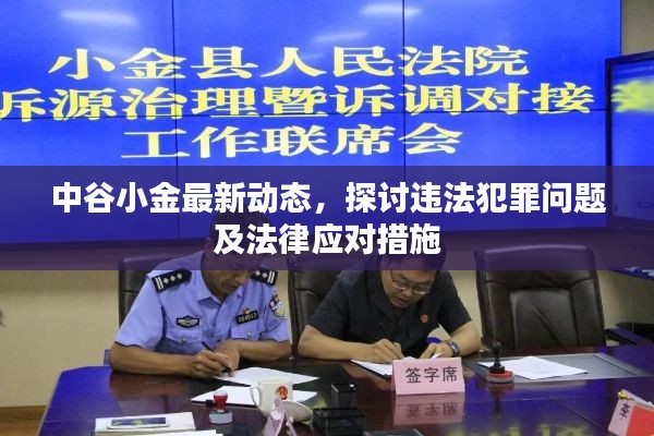 火伞高张 第3页