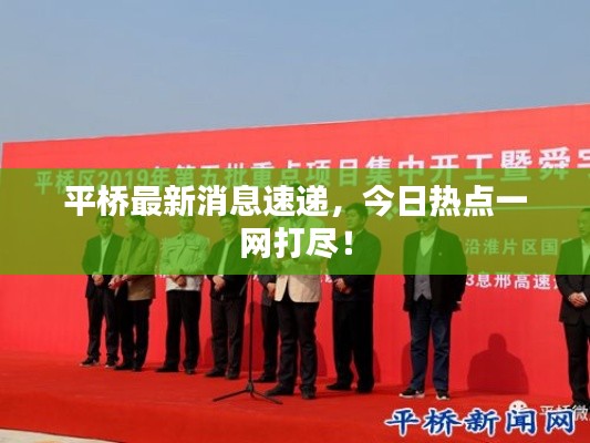平桥最新消息速递，今日热点一网打尽！