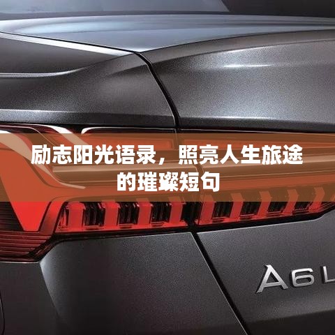 手不释卷 第3页