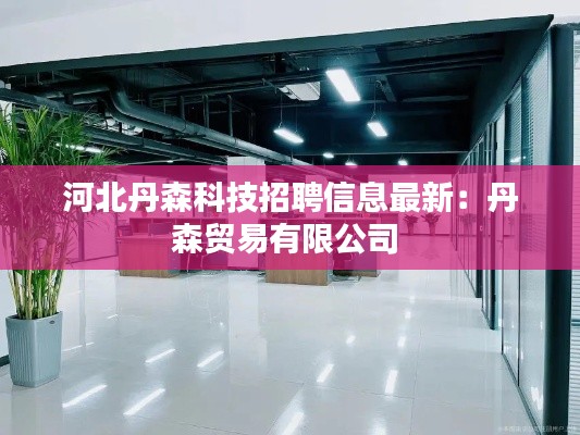 河北丹森科技招聘信息最新：丹森贸易有限公司 