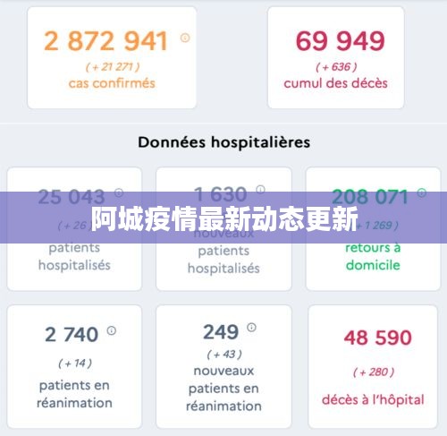 阿城疫情最新动态更新