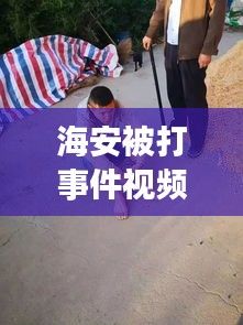 飞来飞去 第3页