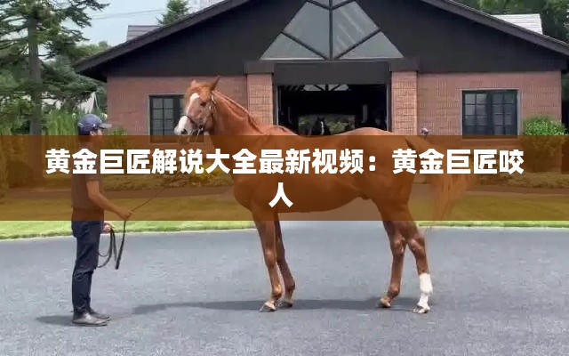 黄金巨匠解说大全最新视频：黄金巨匠咬人 