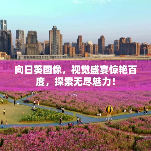 虫蚀鸟步 第3页