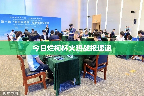 今日烂柯杯火热战报速递