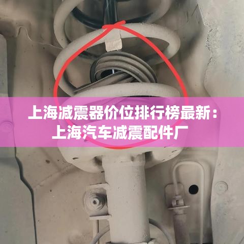 上海减震器价位排行榜最新：上海汽车减震配件厂 