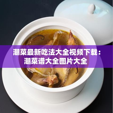 潮菜最新吃法大全视频下载：潮菜谱大全图片大全 