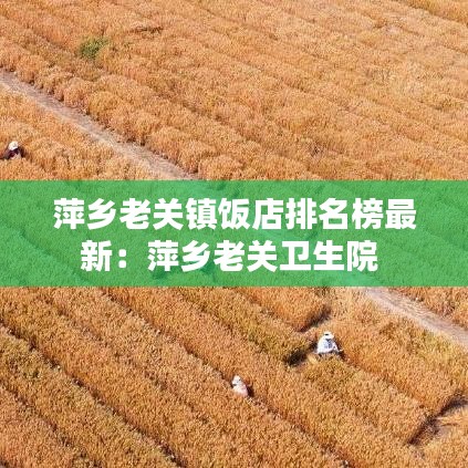 萍乡老关镇饭店排名榜最新：萍乡老关卫生院 