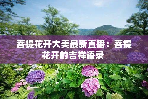 抛砖引玉 第3页